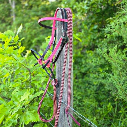 Pink Two-Tone Loping Hackamore