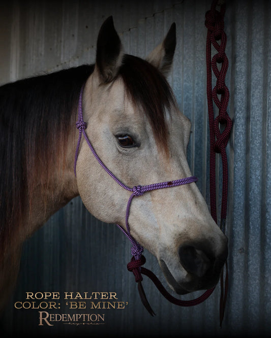 Hay Chix Redemption Rope Halter