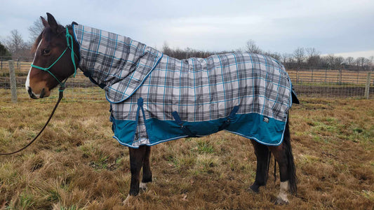 Teal Plaid 1200 Denier Turnout Sheet with Neck Cover