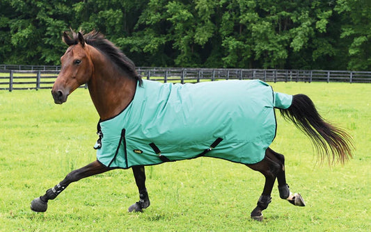 Gatsby 600D  Heavyweight Waterproof Turnout Blanket