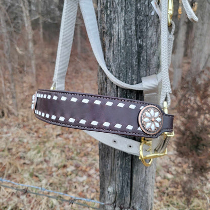 White Buckstitched Noseband On Silver Halter