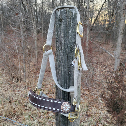 White Buckstitched Noseband On Silver Halter