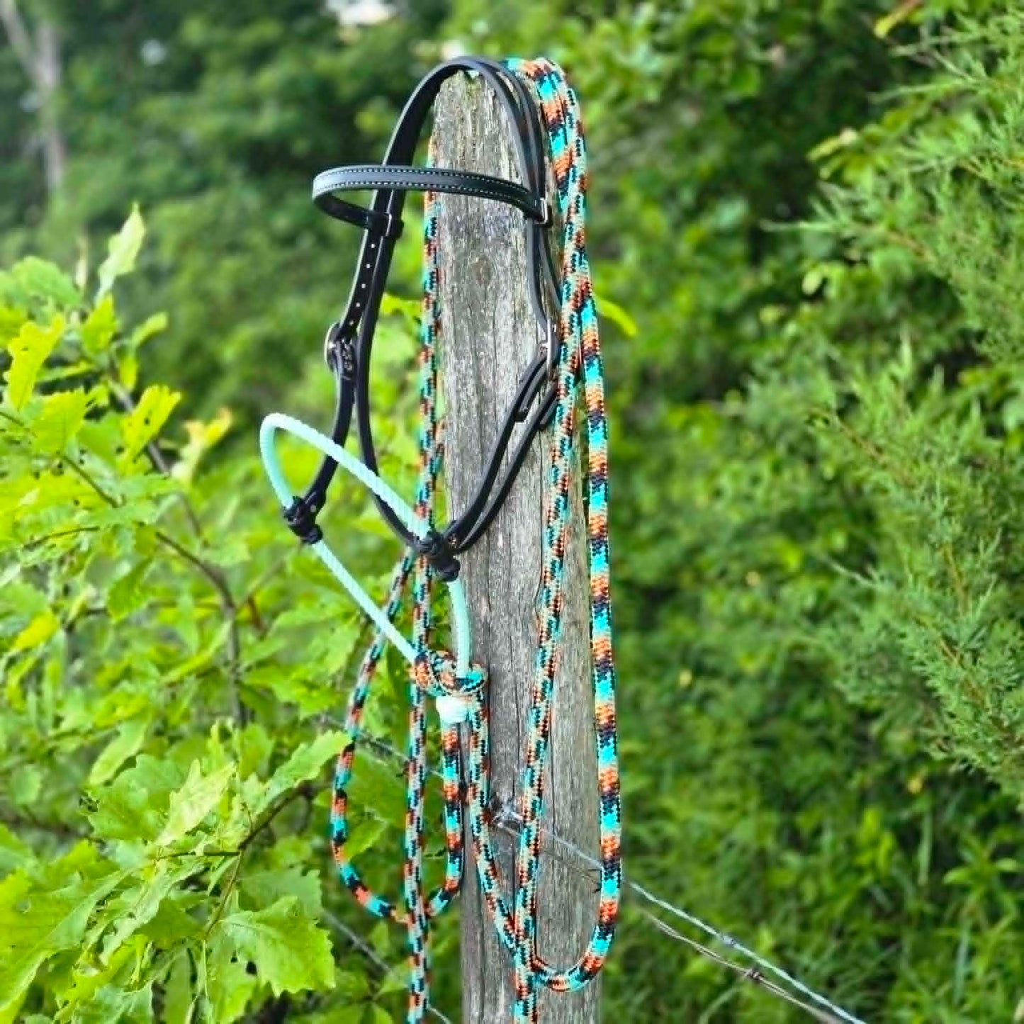 Black & Turquoise Loping Hackamore