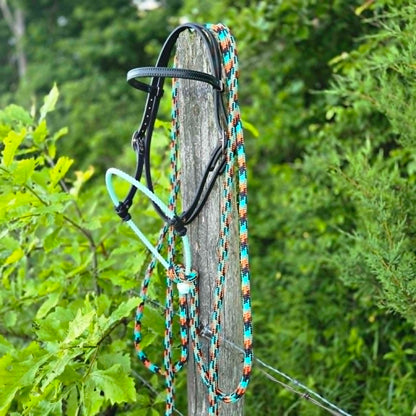 Black & Turquoise Loping Hackamore