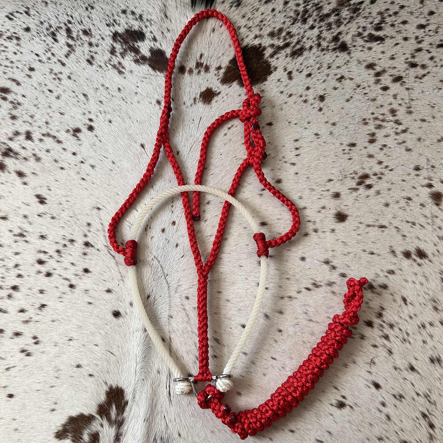 KKT Lariat Noseband Halters
