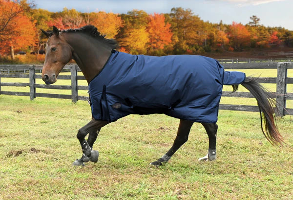 Tabelo Waterproof 600D Midweight Turnout Blanket