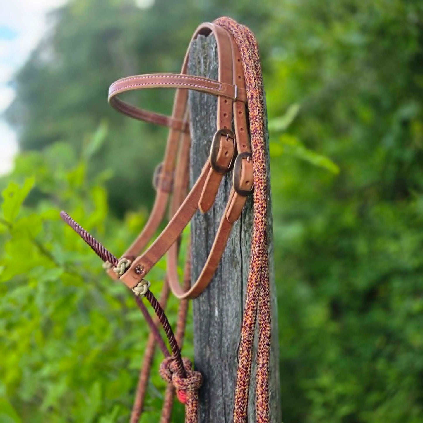 Natural & Burgundy Loping Hackamore