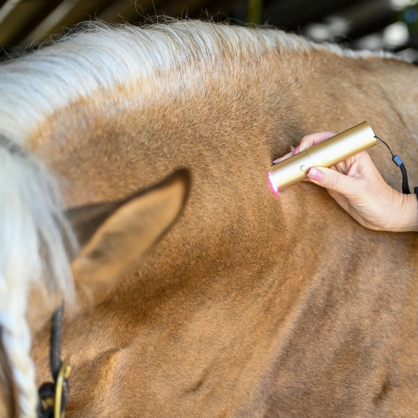 Ignite handheld Therapy Light