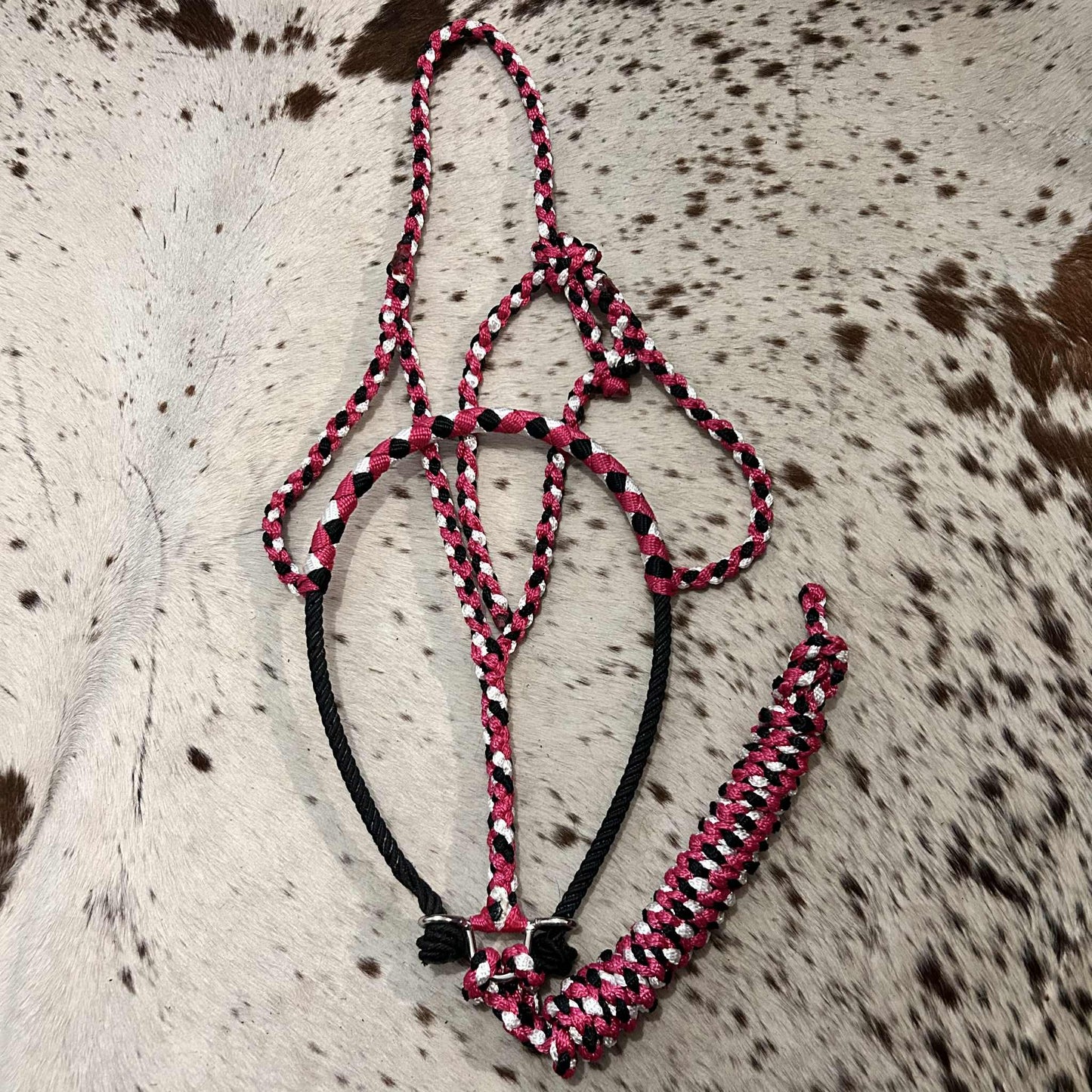 KKT Lariat Noseband Halters