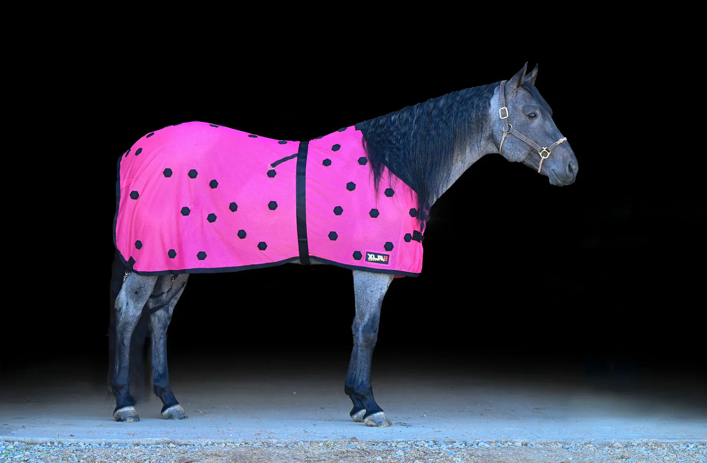 XLR8 Velocity NFR Limited Pink Sheet