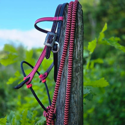 Pink Two-Tone Loping Hackamore