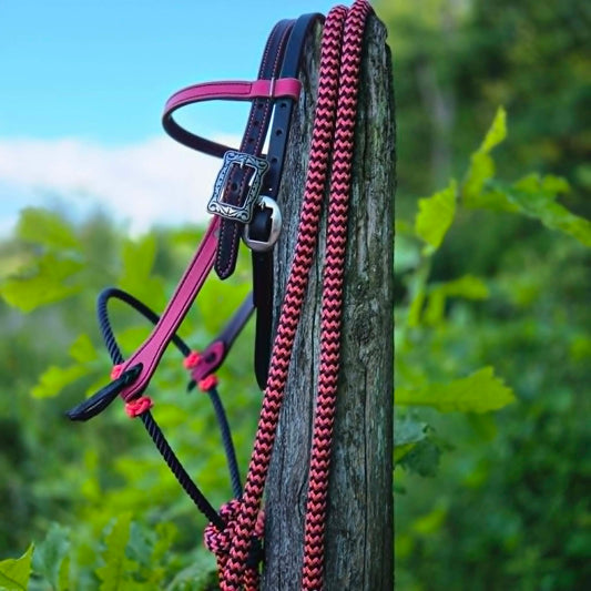 Pink Two-Tone Loping Hackamore
