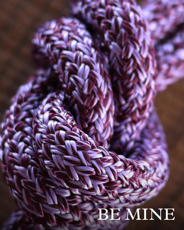 Hay Chix Redemption Snap Lead Ropes - Stainless Steel Snap