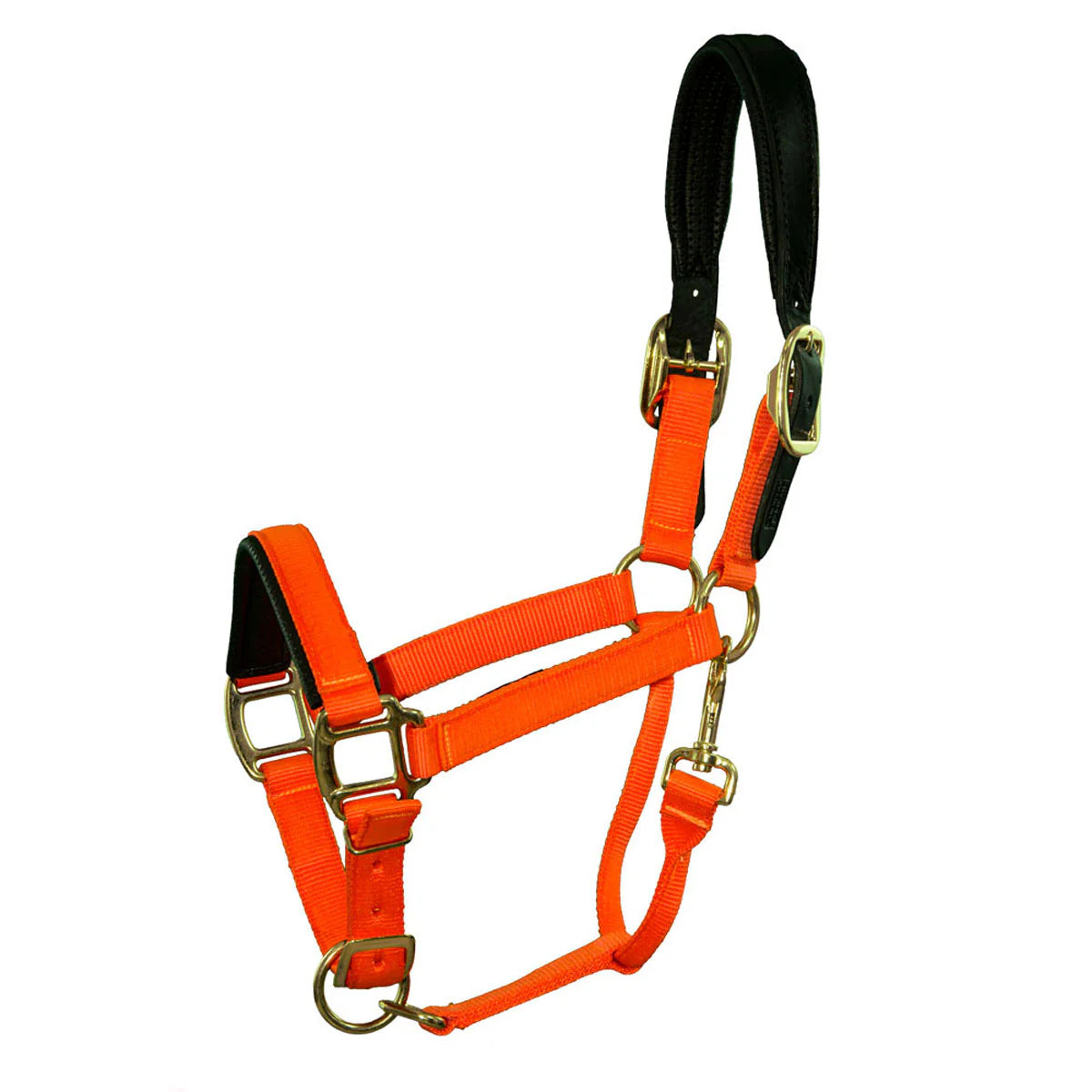 Premium Padded Nylon Breakaway Halter