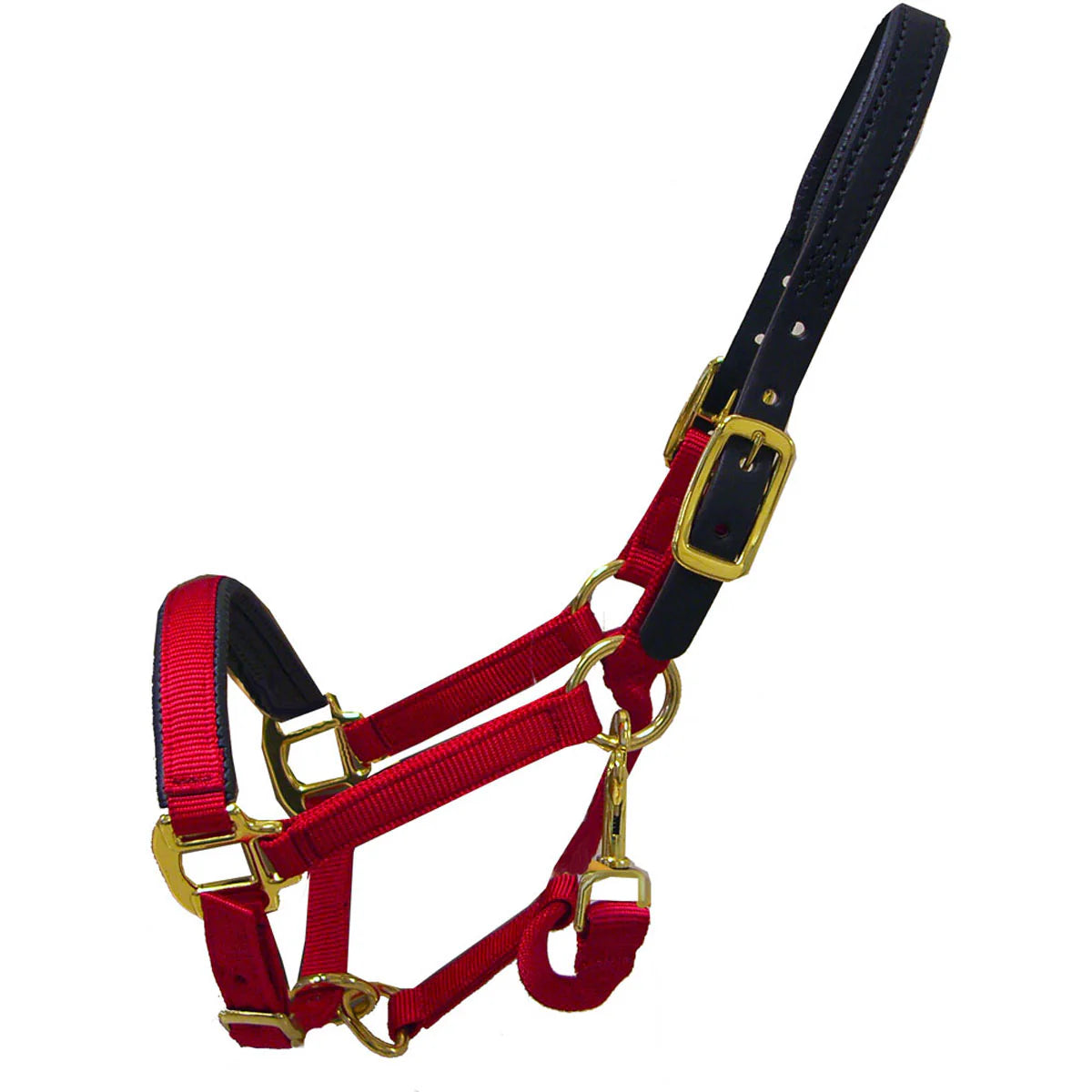 Premium Padded Nylon Breakaway Halter