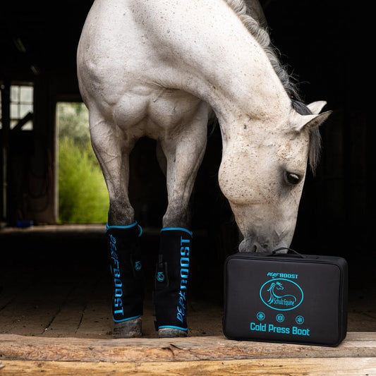 Schulz Equine Performance Boost Cold Pressed Ice Boots