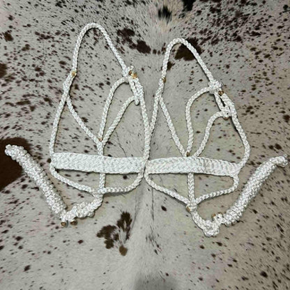 KKT Mule Tape Halter