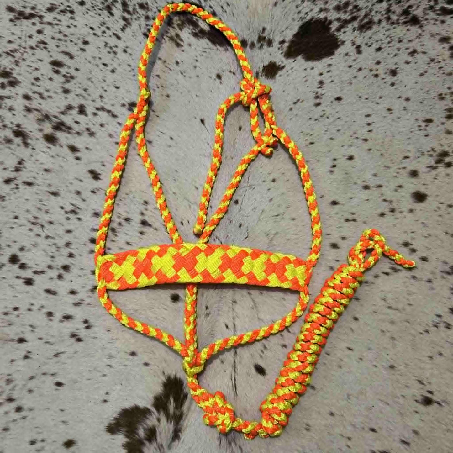 KKT Mule Tape Halter