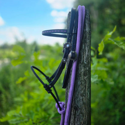Lavender Loping Hackamore