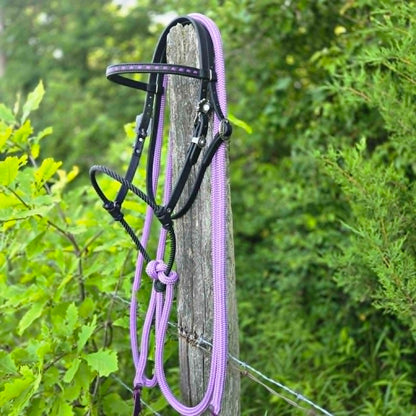 Lavender Loping Hackamore