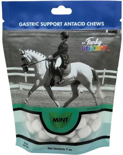 Funky Unicorn Horse Treats