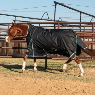 Cashel Turnout Winter Blanket - Black