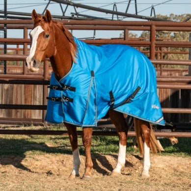 Cashel Turnout Winter Blanket - Blue