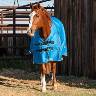 Cashel Turnout Winter Blanket - Blue