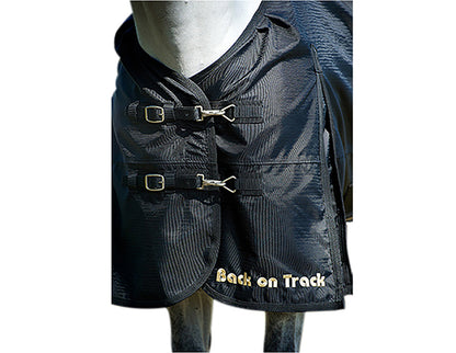 Back On Track Classic Turnout Sheet